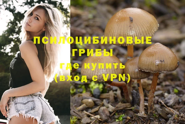 тгк Алзамай